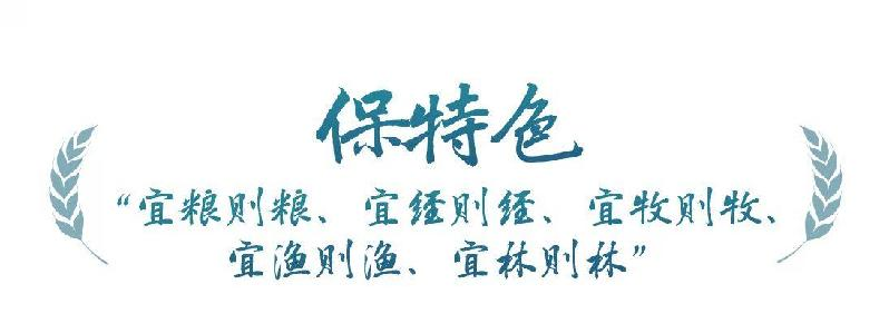 97国际-至尊品牌,源于诺言